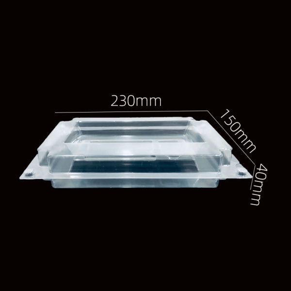 Durable Clear Display Customizable Design Recyclable PET Blister Packaging Tray with Lid