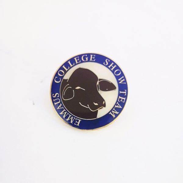 College Theme Epoxy Domed Custom Soft Enamel Pins With Gold Metal Clutch