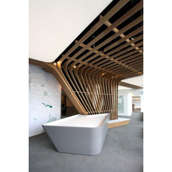 Indoor Aluminium Suspended Ceiling Tiles Solid Wood Printed Wall Covering Tiles