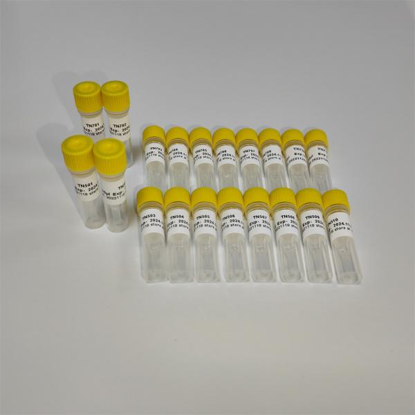 10μl NGS Library Construction Amplification Primer TN Primer Index List-A K211-A