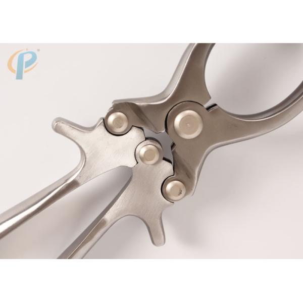 El castrador incruento del acero inoxidable para el cerdo, granja de la cooperación castra fácilmente la herramienta