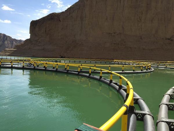 Nanfengwang Fish Cage for Fresh Water Fish Farming Durable and Environmentally Friendly