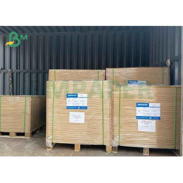 бумага для каландровых валов запаса чашки качества еды 170g белым одиночным бортовым покрытая PE в Rolls