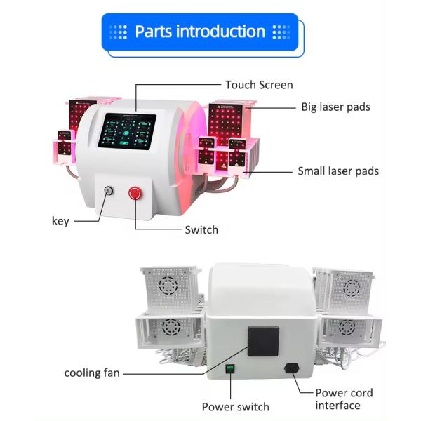 12 Pads 635nm 650nm Lipo Laser 100mW~350mW Fat Removal Fast Slimming Machine