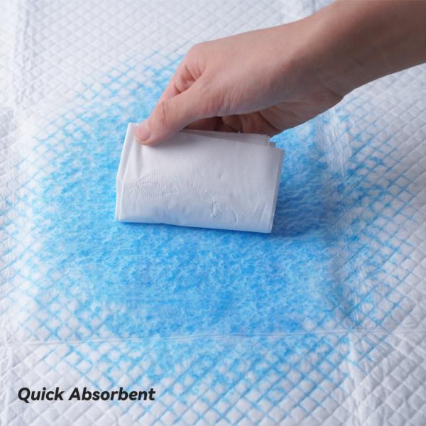 Extra Large Disposable Mats For Dogs , Cat Puppy Train Pads Multi Layered Construction