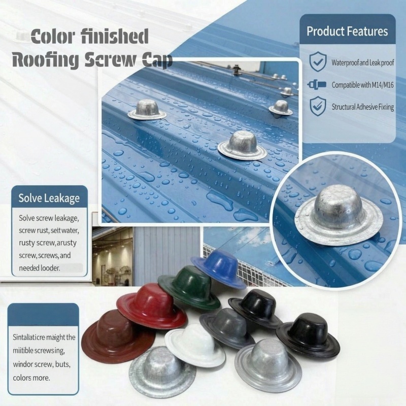 35mm Galvanized Steel Roofing Screw Cap For Roof Screws Used In Roofing Fasteners