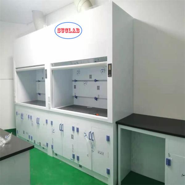 Wall Mounted Chemical Fume Hood Laboratory Fuming Cupboard 220V Voltage for Effective Ventilation
