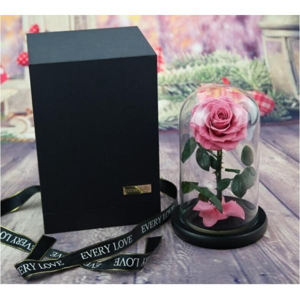 Beautiful Rose Flowers Everlasting Rose Preserved Flower Eternal Rose in Glass