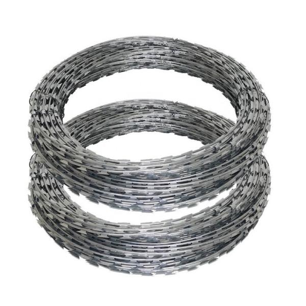 Rolo de arame farpado de aço inoxidável galvanizado personalizado