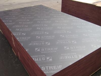 Formwork Concrete Shuttering Plywood Formwork Plywood Concrete Plywood with good price