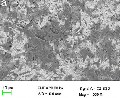 Металл XTCERA CoCr мягкий сплав основного металла Со-Cr 500MPa кобальта 66.0wt% зубоврачебный