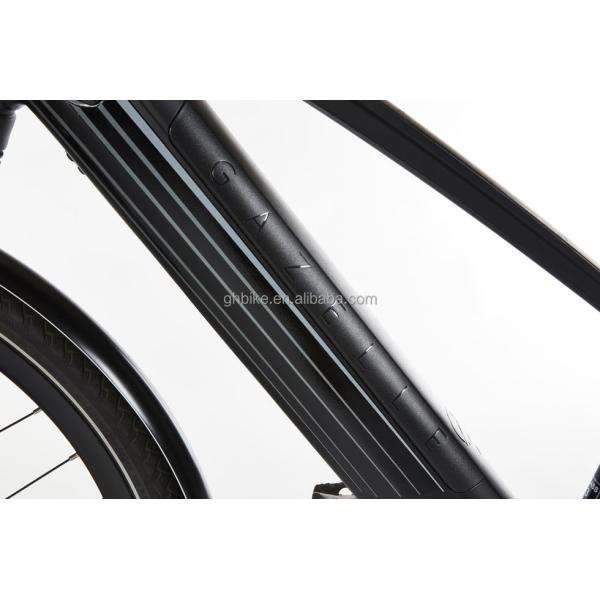 Bafang Central Motor 25KM/H 8.8AH Lithium Battery OEM CE Electric City Cargo Bicycle