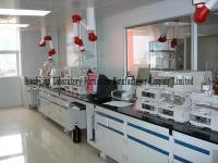 Banc Malaisie de mur de laboratoire/compteur Oman mur de laboratoire/banc mur de laboratoire avec le stockage Pakistan