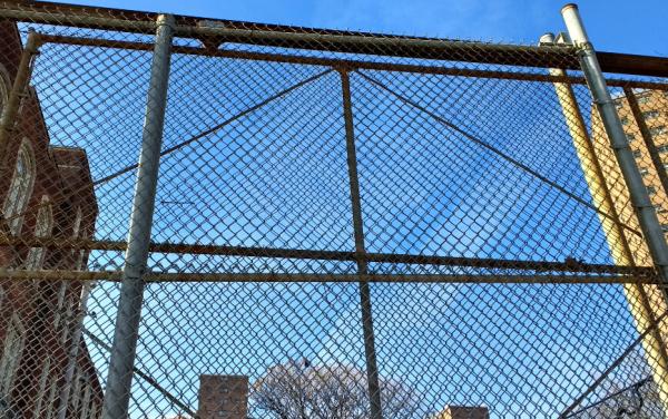HOT DIPPED Galvanized chain wire fencing for sale