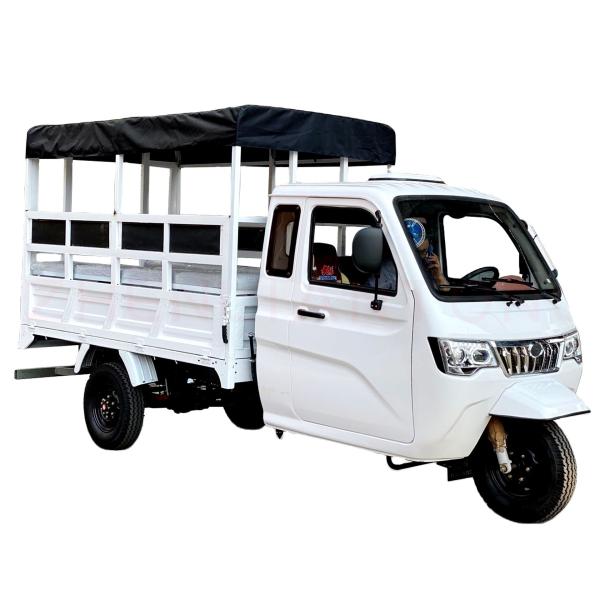 Triciclo de carga motorizado de semi-cabine de 800W com cabine fechada e tampa de carga de plástico