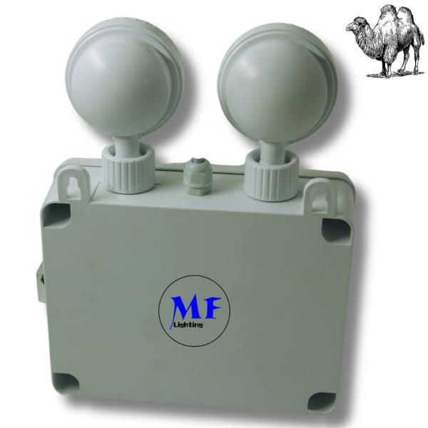 Emergency Exit LED Light IP65 Waterproof Dual Head 3h Backup Adjustable 6000K White ABS Housing for Indoor Use