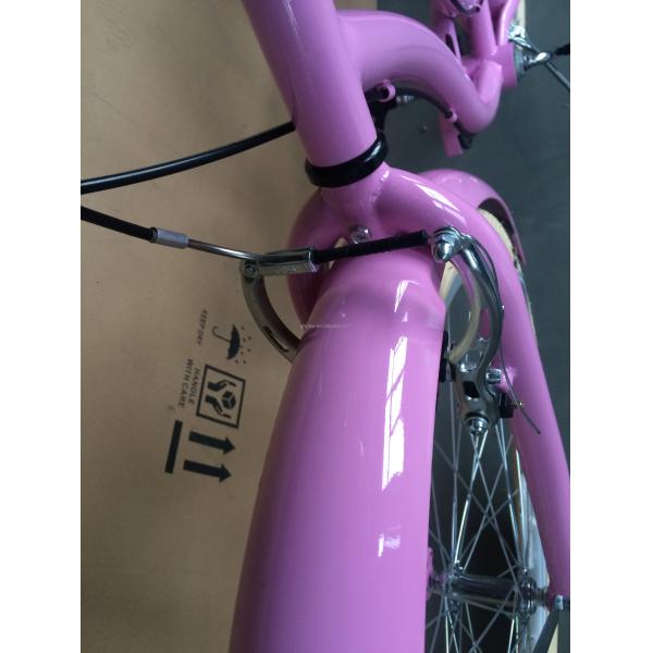 OEM Customized CE Beach Cruiser Bike 26