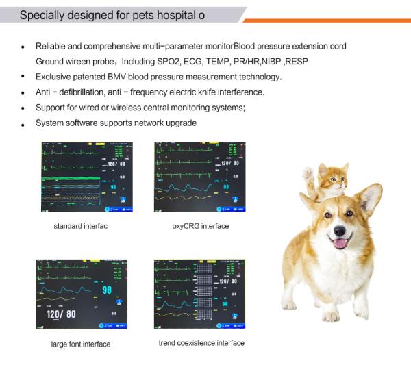 VE12 12.1 Inch Portable Veterinary Monitor Ecg Monitor Yonker 2 Hour 3 Level Audio/visual Alarm Veterinary Monitoring Instrument