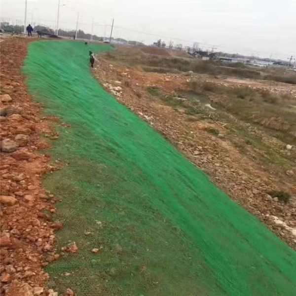 3D Composite Drainage Geonet Highway Drainage HDPE Net Slope Protection