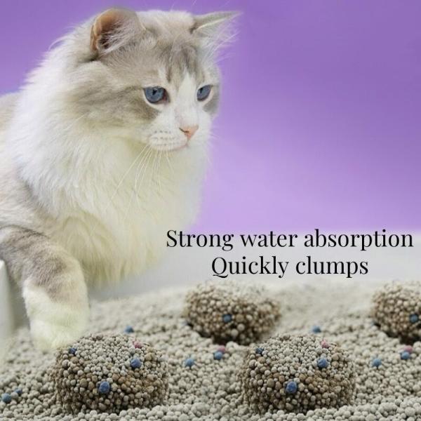 BSCI Litter de chat en argile de bentonite 0,8 mm-3,8 mm Litter de chat en bentonite sphérique