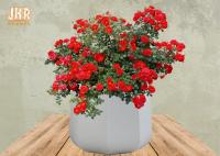 Frosted Clay Plant Pots Homewares Decorative Items Geometric Flower Pots Garden Pots White Color