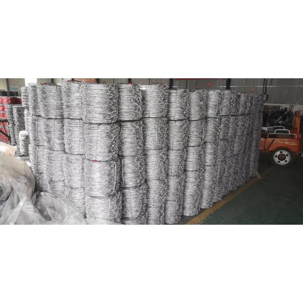 Stainless Steel Galvanized Barbed Wire Coiled Barbed Wire Bulk Barbed Wire