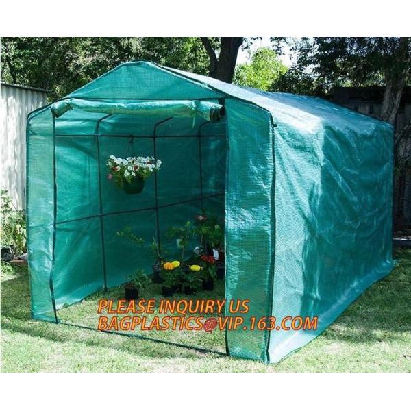 polycarbonate plastic sheet agricultural mini garden green house,plastic walk in dome garden green house, SUPPLIES, PAC