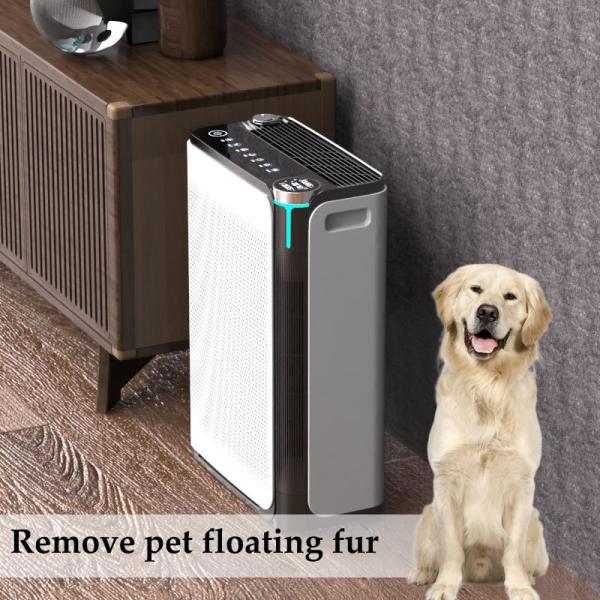 Ammonia Home Air Purifiers Removal Smoke For Pet - Friendly Living