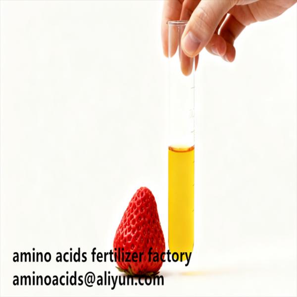 Hydrolyzed Vegetable Free Amino Acids 80% Liquid Form For Organic Farming   