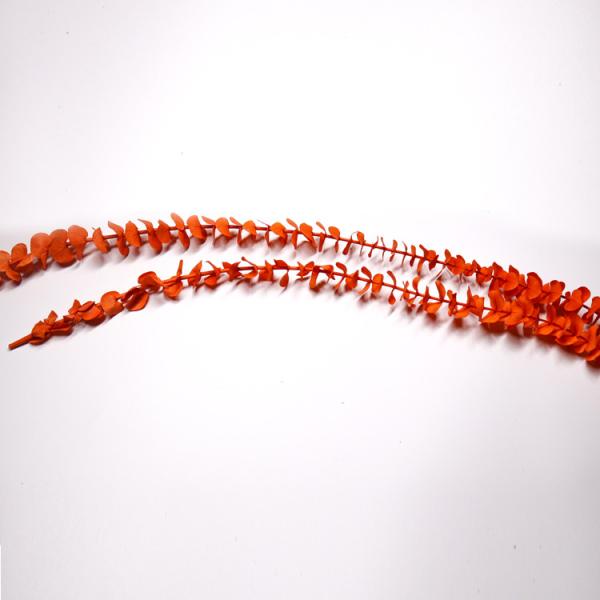 OEM Service Preserved Foliage Leaves Durable For Home Wall Decoration