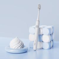 Cepillo Dental Eléctrico Inteligente En Venta Al Por Mayor Cargador USB para Adultos Viajes, 2 Min Timer Inteligente Cepillo Dental Eléctrico para Adultos