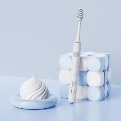 Escova de Dentes Elétrica Inteligente Grátis Carregamento USB Adultos Viagem, 2 Min Timer Inteligente Escova de Dentes Elétrica Adultos