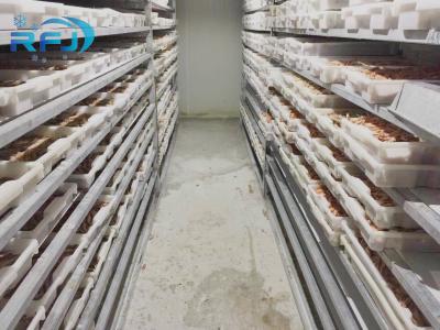 Fresh Tuna Small Tunnel Plate Blast Walk In Freezer Industrial Seafood Iqf Cold Contact Panel