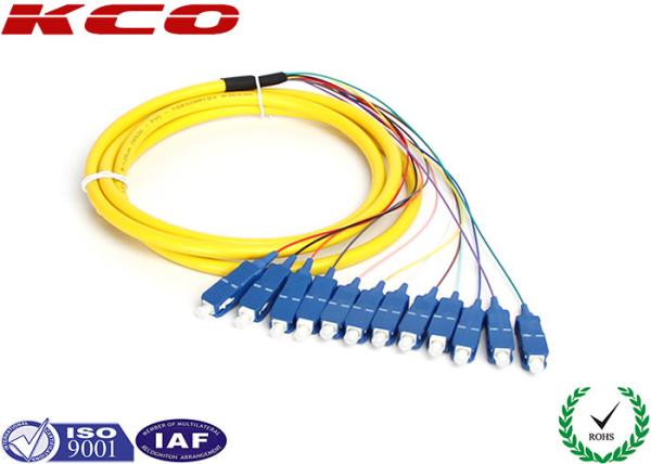 12 Fiber SCUPC Pigtail / Multi-fiber Optical Fanout Pigtail / SC Pigtail / SM MM Pigtail