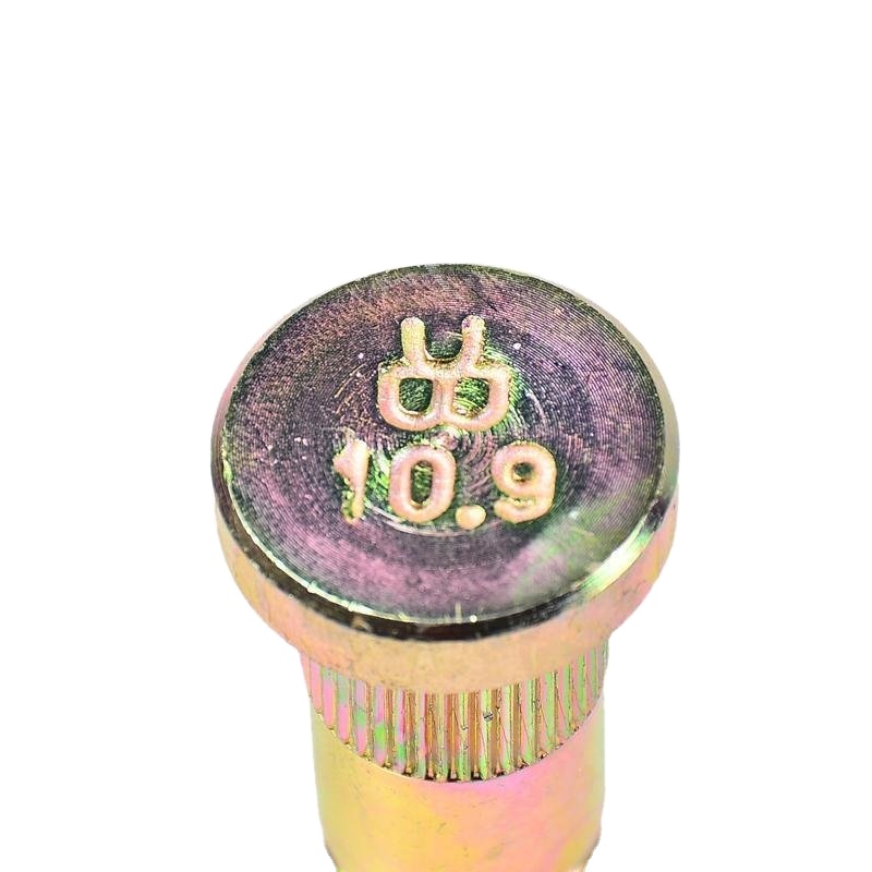 New RQT295D288-4022ZHA1857 Rear Wheel Fastening Tire Bolts and Screws with Caps for Light Trucks
