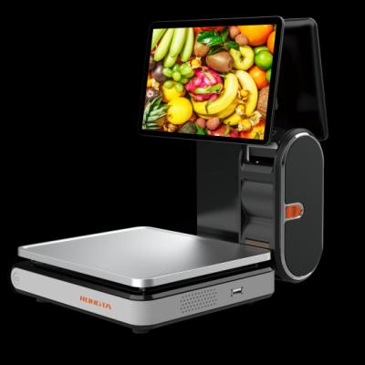 AURORA Y2L All In One Scale Highly Accurate Lightweight Easy Installation