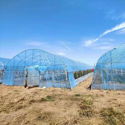 8m 9m 10m Polytunnel de plástico Estufas Agricultura Vegetais de cultivo Flores Frutas