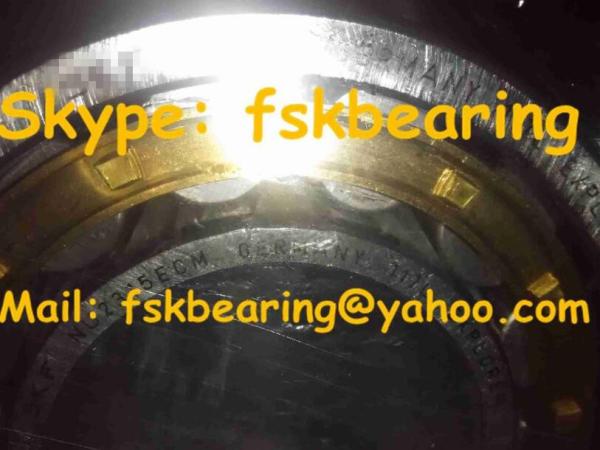 Chrome Steel / Stainless Steel Cylindrical Roller Bearing for Foaming Machine