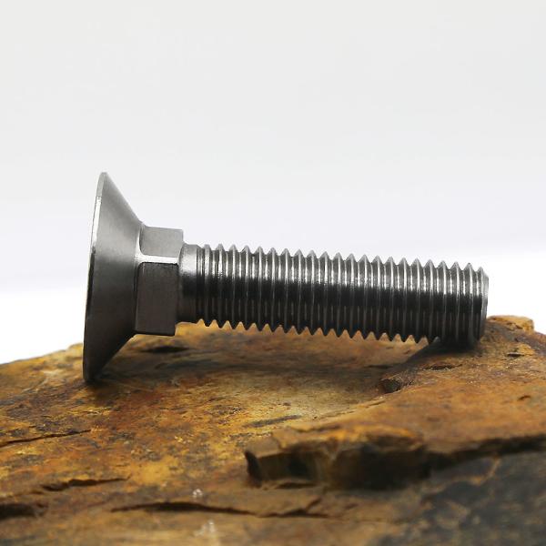 Custom Stainless Steel Screws Manufacturing