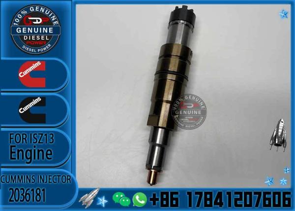 For Scania Unit Injectors XPI Model 2057401 2036181 2031835 574423 1933612 575176 Injection Valves Product Category