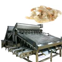 Machine de traitement et de tri des crevettes en acier inoxydable