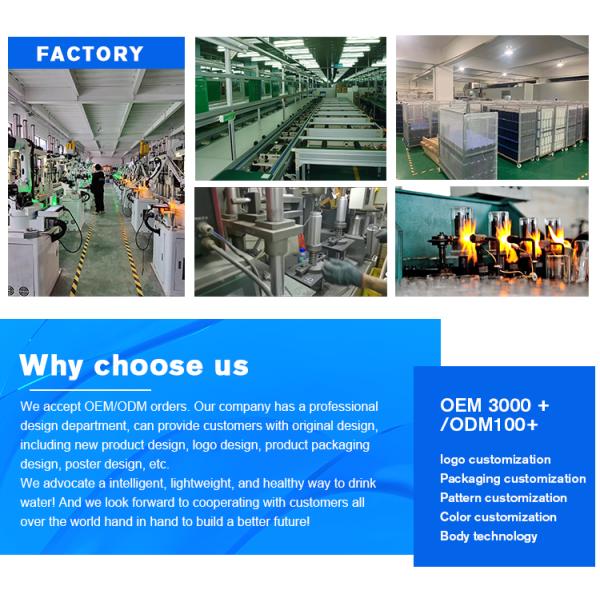 Travel Fruit Infusing Water Bottle 1000ml Tritan Sports Plastic Teabag Infusion Bottle