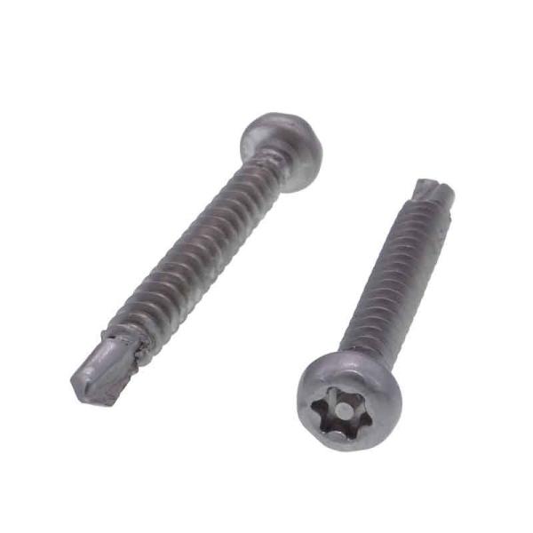 304 201 parafusos de aço inoxidável de Pin Head Torx Self Drilling alteram resistente