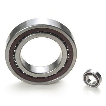 TIMKEN KOYO Stainless Steel Roller Bearing Double Row Conveyor Bearings 22313