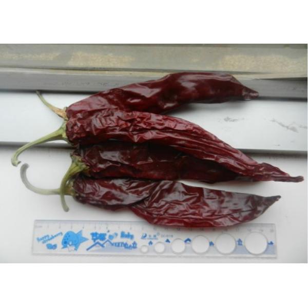 Marinades Use Dried Guajillo Chili 7cm Sun Dried Red Peppers Not Spicy