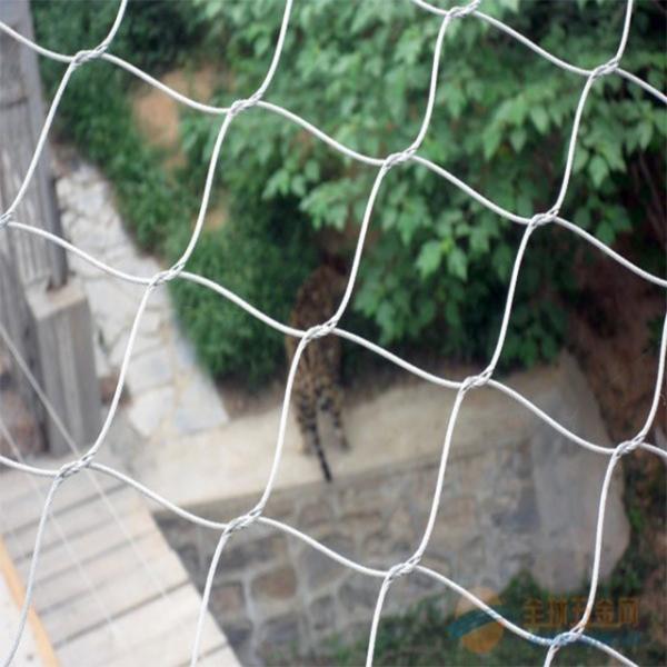 Stainless Steel Wire Rope Mesh,Inter-Woven Rope Mesh