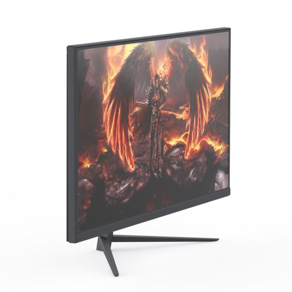 IPS 25 Inch Flat Panel Computer Monitor 250Hz Double HDMI And Display Port