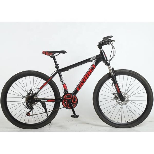 29 inch Velo Cycle MTB Bicycle Steel Frame 24 Speed Customizable Mountain Bike