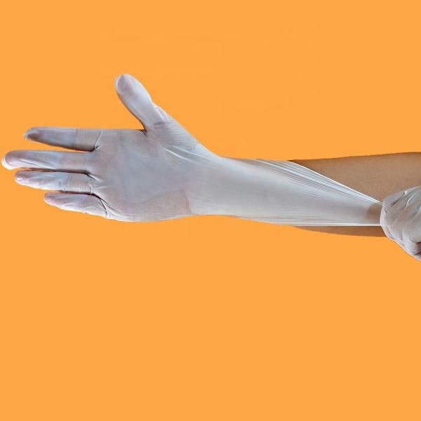 Disposable Latex Free Medical Gloves , Vinyl Examination Gloves Non Allergic