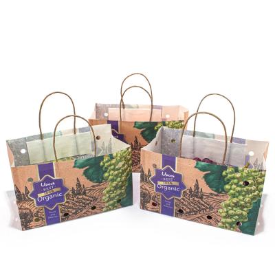 Sacos de papel do fruto do OEM, Flexo que imprime sacos pequenos de Kraft com punhos